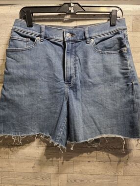 Express Light Blue Denim Jean Shorts